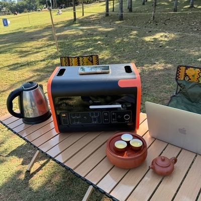 Gerador Solar Móvel de Alta Potência de Carga Solar de 800W Max para Carro e Solicitação Personalizada